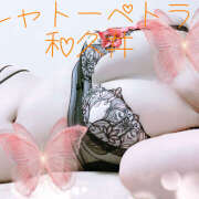 ヒメ日記 2025/10/13 10:30 投稿 和久井 シャトーペトラ