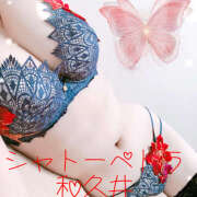 ヒメ日記 2026/01/28 10:30 投稿 和久井 シャトーペトラ