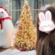 ヒメ日記 2024/12/30 08:00 投稿 あも ワンダーホール24