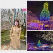 ヒメ日記 2026/03/13 18:08 投稿 森村 品川やすらぎ