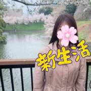 ヒメ日記 2026/04/10 13:58 投稿 森村 品川やすらぎ