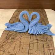 ヒメ日記 2025/04/28 01:25 投稿 れいか ご近所物語