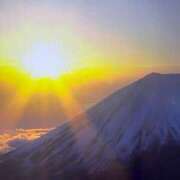 神崎 おはようございます ローズマリー大塚