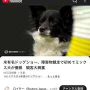 愛内ゆりの 最近はまってる🐶♡ e女商事 池袋店