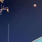 ヒメ日記 2024/12/20 12:29 投稿 ナナ プラチナ