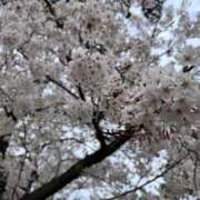 ヒメ日記 2025/03/06 11:02 投稿 ナナ プラチナ