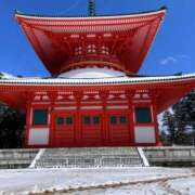 ヒメ日記 2025/03/25 11:46 投稿 ナナ プラチナ