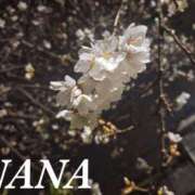 ヒメ日記 2025/04/02 11:22 投稿 ナナ プラチナ