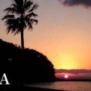 ヒメ日記 2025/10/04 11:22 投稿 ナナ プラチナ