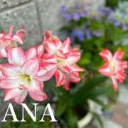 ヒメ日記 2025/10/27 11:12 投稿 ナナ プラチナ