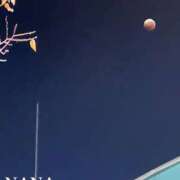 ナナ 出勤！ プラチナ