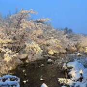 ヒメ日記 2025/12/12 11:32 投稿 ナナ プラチナ