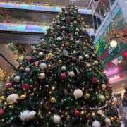 ヒメ日記 2025/12/16 11:31 投稿 ナナ プラチナ