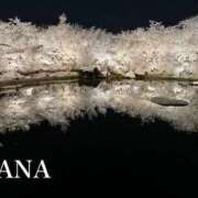 ヒメ日記 2025/12/28 11:02 投稿 ナナ プラチナ