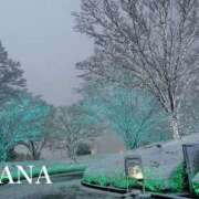 ヒメ日記 2026/01/28 11:10 投稿 ナナ プラチナ