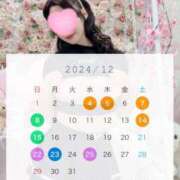 ヒメ日記 2024/12/07 18:53 投稿 つぼみ 綺麗なお姉様専門　町田リング4C（アンジェリークグループ）