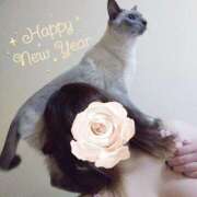 ヒメ日記 2025/01/01 00:30 投稿 星野しほ すべりん棒シャンプー娘。（横浜ハレ系）