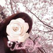 ヒメ日記 2025/03/28 00:14 投稿 星野しほ すべりん棒シャンプー娘。（横浜ハレ系）