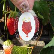 ヒメ日記 2026/01/21 19:15 投稿 星野しほ すべりん棒シャンプー娘。（横浜ハレ系）