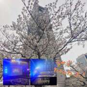 ヒメ日記 2026/04/06 21:42 投稿 星野しほ すべりん棒シャンプー娘。（横浜ハレ系）