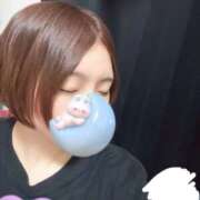 ヒメ日記 2025/04/03 17:46 投稿 れん SKY(スカイ)