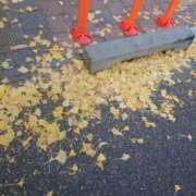 ヒメ日記 2024/12/29 22:26 投稿 きなこ Hips悶絶痴女倶楽部 池袋