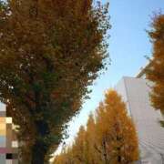 ヒメ日記 2025/03/16 13:26 投稿 きなこ Hips悶絶痴女倶楽部 池袋