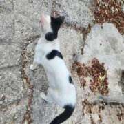 ヒメ日記 2025/10/06 12:27 投稿 高杉(たかすぎ) 人妻出逢い会 百合の園 山の手本店