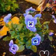 高杉(たかすぎ) おじさん? 人妻出逢い会 百合の園 山の手本店