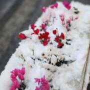 高杉(たかすぎ) 雪～ 人妻出逢い会 百合の園 山の手本店