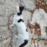 ヒメ日記 2025/10/06 12:26 投稿 高杉(たかすぎ) 人妻出逢い会 百合の園 品川店