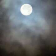 ヒメ日記 2025/10/08 02:16 投稿 高杉(たかすぎ) 人妻出逢い会 百合の園 品川店