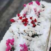 高杉(たかすぎ) 雪～ 人妻出逢い会 百合の園 品川店