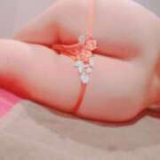 ヒメ日記 2025/03/21 12:44 投稿 ゆん ロイヤル土佐