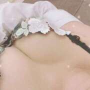 ヒメ日記 2025/11/10 14:27 投稿 ゆん ロイヤル土佐