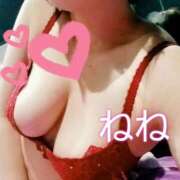 ヒメ日記 2025/11/09 17:07 投稿 及川寧々 HANABI(福富町)