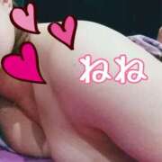 ヒメ日記 2026/03/09 17:05 投稿 及川寧々 HANABI(福富町)