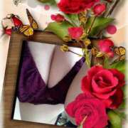 ヒメ日記 2025/11/02 11:56 投稿 瀬良千景 五十路マダム姫路店