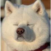 ヒメ日記 2025/03/19 06:42 投稿 ちひろ カワサキ EROTIC