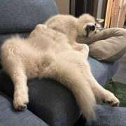 ヒメ日記 2025/04/20 01:13 投稿 ちひろ カワサキ EROTIC