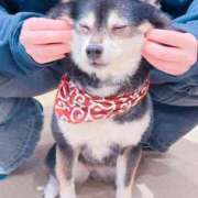 ヒメ日記 2025/05/07 09:00 投稿 ちひろ カワサキ EROTIC