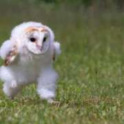 ヒメ日記 2025/07/26 17:18 投稿 ちひろ カワサキ EROTIC