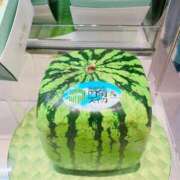 ヒメ日記 2025/08/27 07:18 投稿 ちひろ カワサキ EROTIC