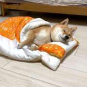 ヒメ日記 2025/10/24 10:48 投稿 ちひろ カワサキ EROTIC