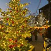 ちひろ 🌲✨🌲✨🌲✨ カワサキ EROTIC