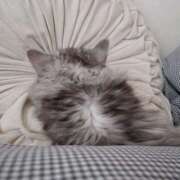 ヒメ日記 2025/07/04 18:50 投稿 さくら わちゃわちゃ密着リアルフルーちゅ西船橋