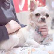 ヒメ日記 2025/10/11 13:32 投稿 さくら わちゃわちゃ密着リアルフルーちゅ西船橋