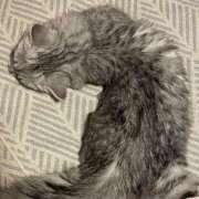 ヒメ日記 2025/11/15 20:20 投稿 さくら わちゃわちゃ密着リアルフルーちゅ西船橋