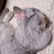 ヒメ日記 2025/11/22 16:50 投稿 さくら わちゃわちゃ密着リアルフルーちゅ西船橋