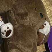 ヒメ日記 2026/03/07 17:08 投稿 さくら わちゃわちゃ密着リアルフルーちゅ西船橋